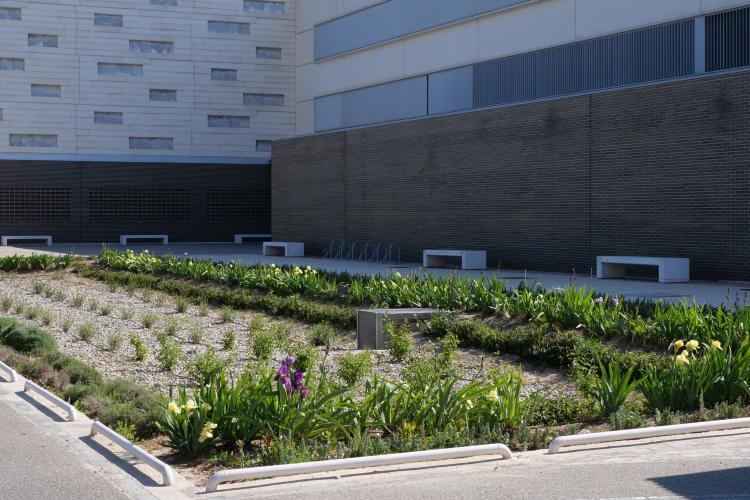 Fotografía exterior donde se ve un edificio y un jardín con plantas