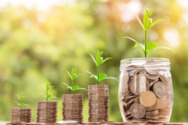 Imagen de pilas de monedas de las cuales nace un brote de una planta. A mano derecha, un tarro de cristal lleno de monedas, del que igualmente nace un pequeño brote.