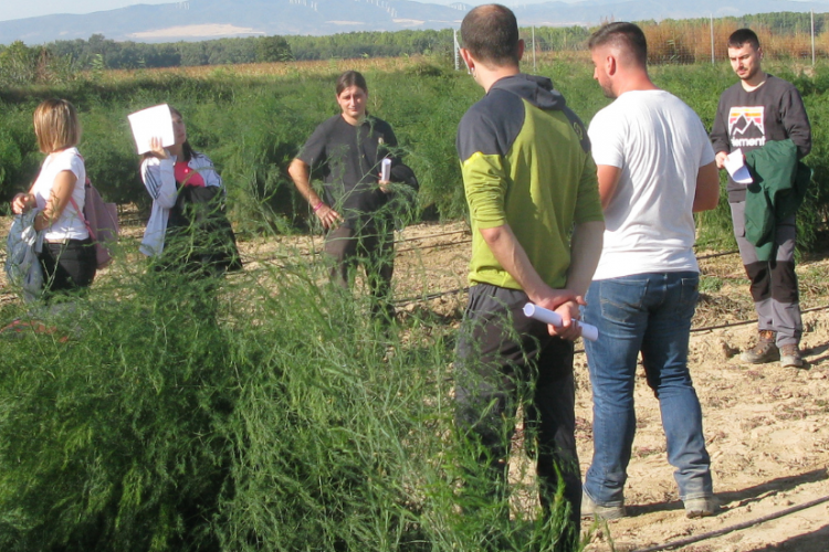 Fotografía de varias personas visitando las fincas de cultivo.