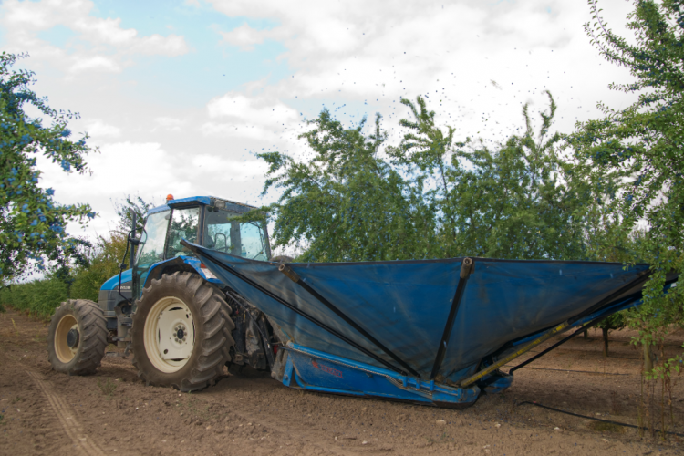 Fotografía de un tractor en un campo de cultivo