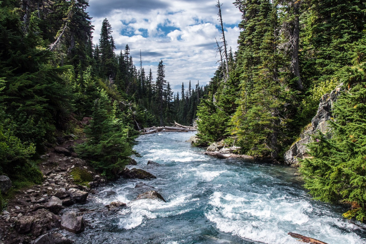 Fotografía de un río