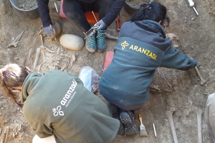 Técnicos de Aranzadi trabajando en la fosa.