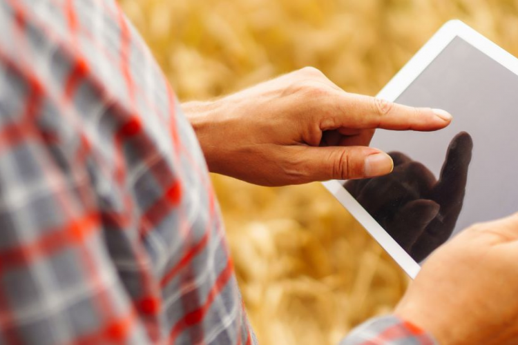 Fotografía de una persona con una tablet