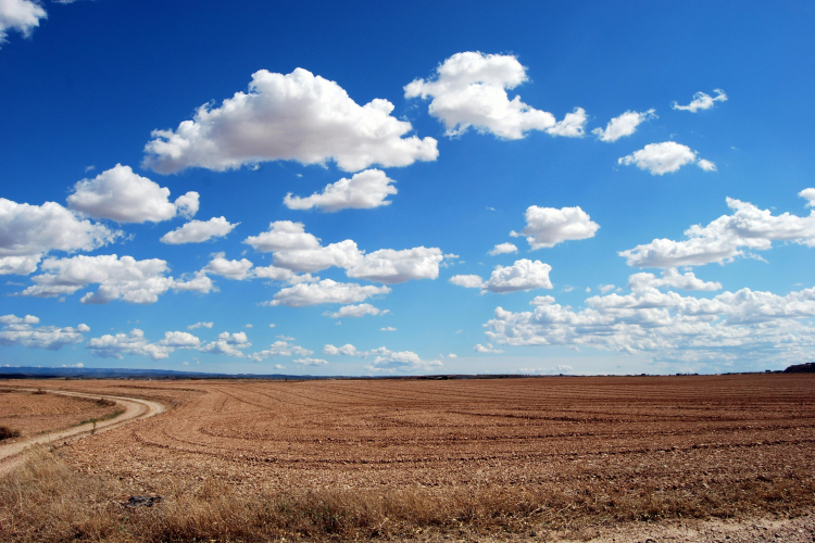 Fotografía de un campo