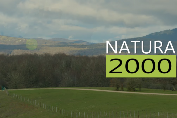 Fotografía de un paisaje donde se ven árboles, montañas y un prado,  y la frase natura 2000