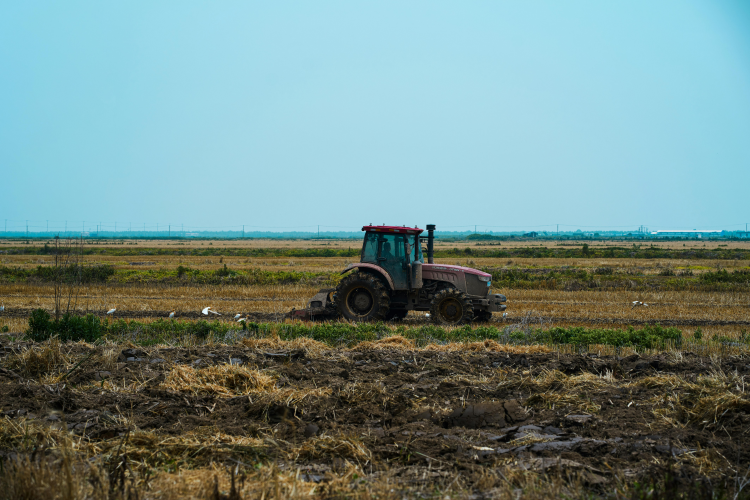 Fotografía de una excavadora en un campo de cultivo