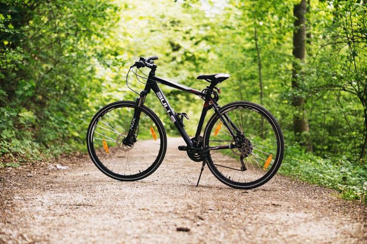 Fotografía de una bicicleta en un bosque