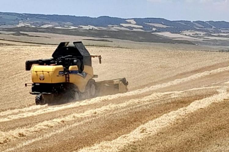Imagen de una cosechadora en un campo de cereal. 
