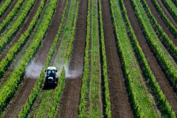 Fotografia de un tractor fulmigando en un pieza 
