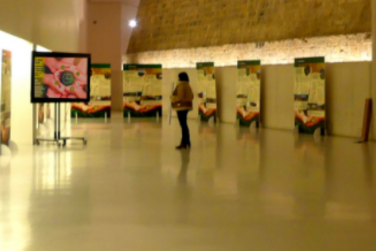 Fotografia de la exposicione