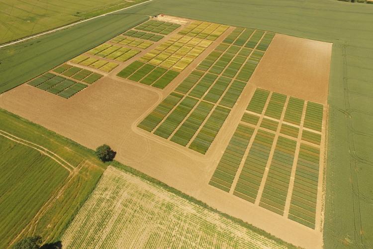 Foto aérea de una de las fincas que INTIA dedica a ensayos de cultivos extensivos