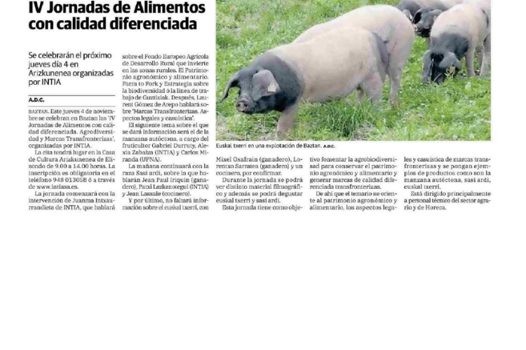 Fotografía del pantallazo de la noticia en la edición impresa del Diario Vasco