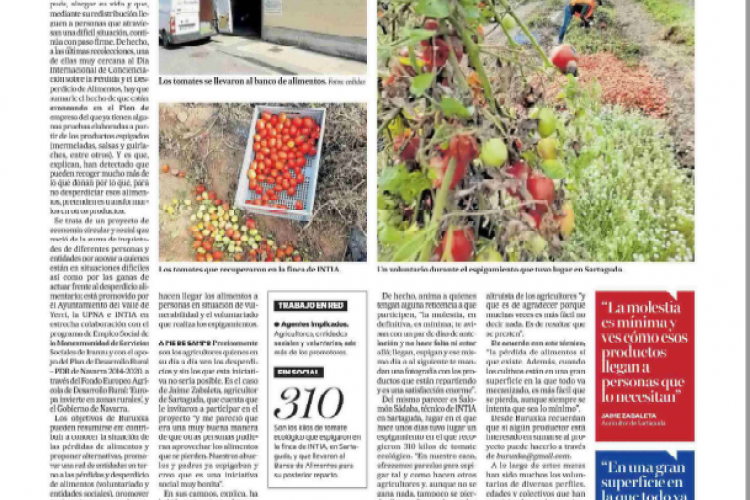 Fotografía del pantallazo de la noticia en la edición impresa del Diario de Noticias.