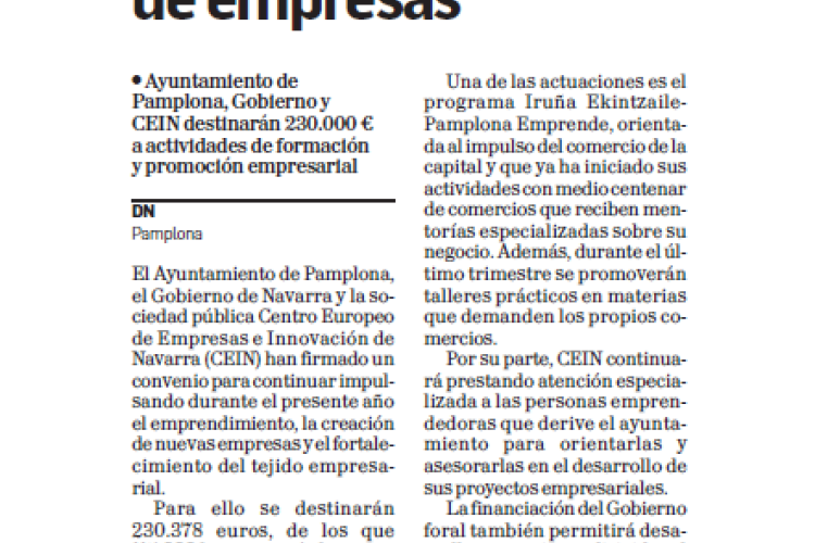 Fotografía del pantallazo de la noticia en la edición impresa de Diario de Navarra
