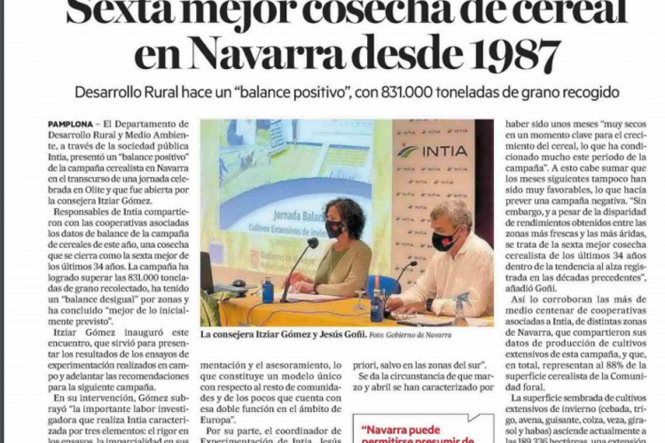 Recorte de la noticia publicada en la edición impresa de Diario de Noticias