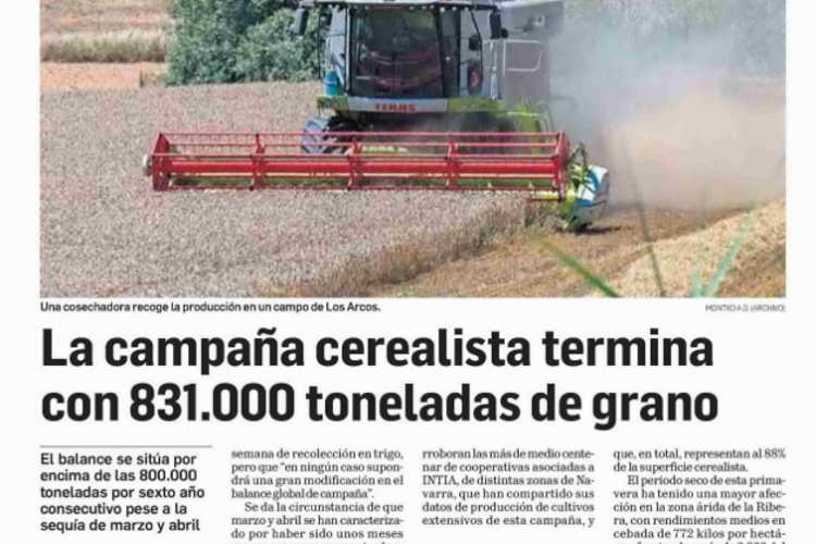 Recorte de la noticia publicada en la edición impresa de Diario de Navarra