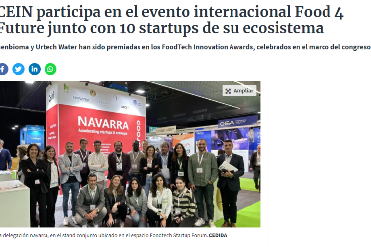 Fotografía del pantallazo de la noticia en la edición online de Diario de Navarra