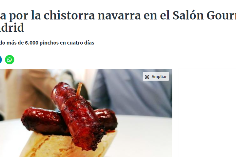 Fotografía del pantallazo de la noticia en la edición online del Diario de Navarra