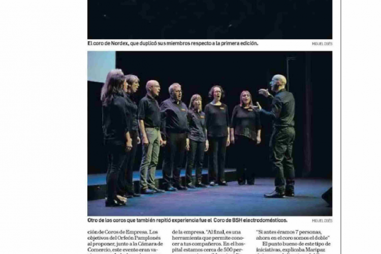 Fotografía del pantallazo de la noticia impresa en Diario de Navarra