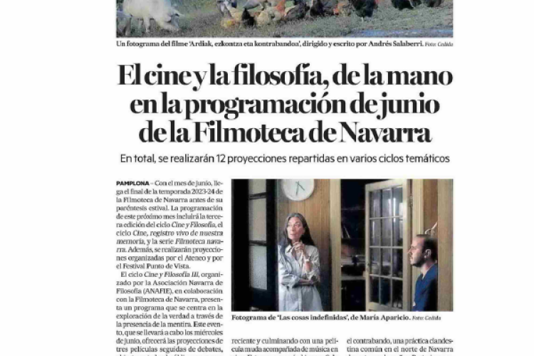 Fotografía del pantallazo de la noticia impresa en Diario de Noticias