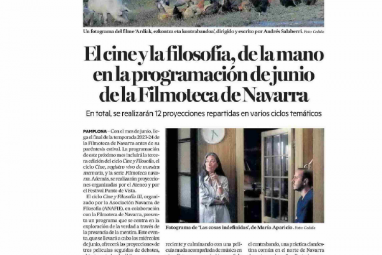 Fotografía del pantallazo de la noticia impresa en Diario de Noticias