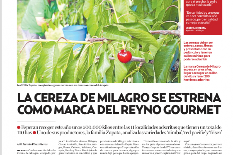 Fotografía del pantallazo de la noticia impresa en Diario de Noticias