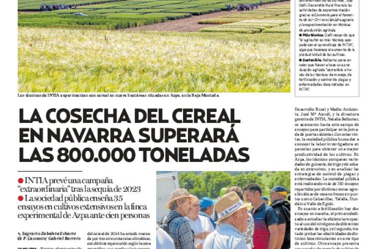 Fotografía del pantallazo de la noticia impresa en Diario de Noticias