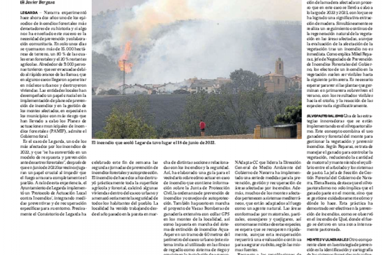Fotografía del pantallazo de la noticia en la edición impresa de Diario de Noticias