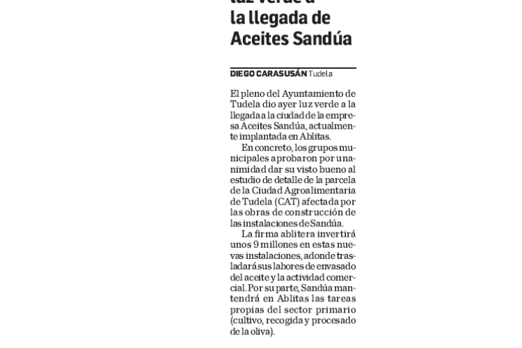 Fotografía del pantallazo de la noticia en la edición impresa de Diario de Navarra