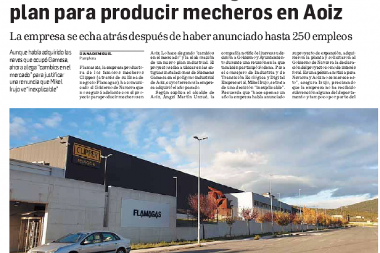 Fotografía del pantallazo de la noticia en la edición impresa del Diario de Navarra