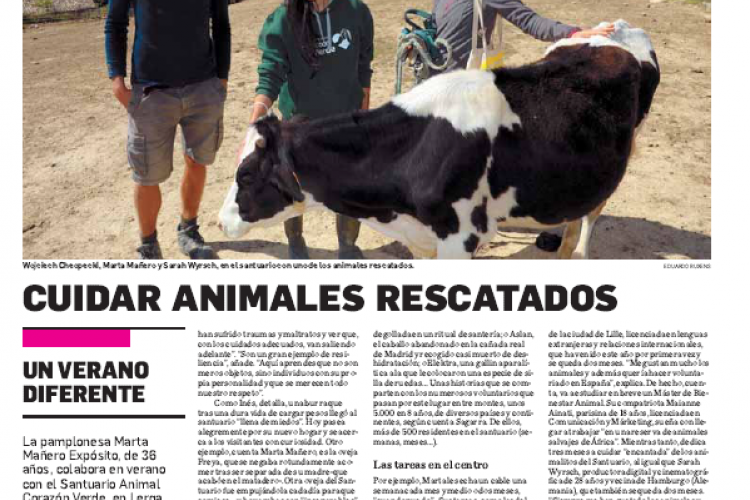 Fotografía del pantallazo de la noticia en la edición impresa del Diario de Navarra