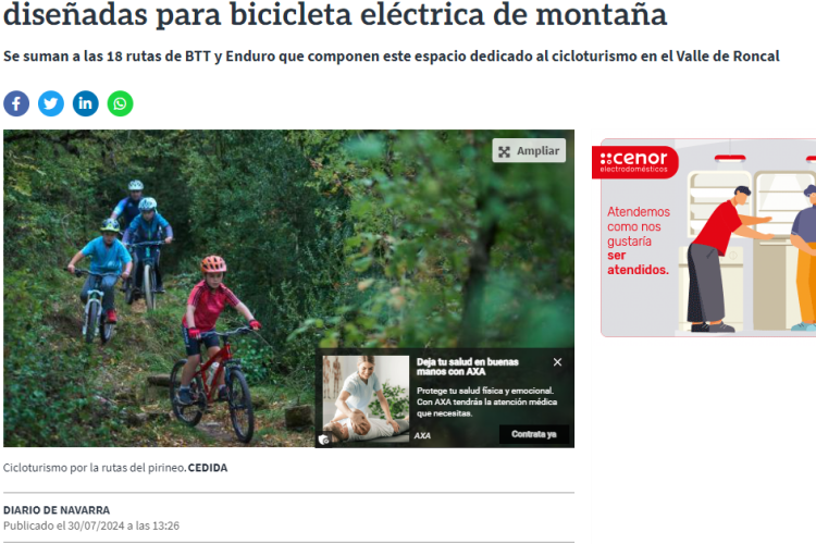 Fotografía del pantallazo de la noticia en la edición online del Diario de Navarra