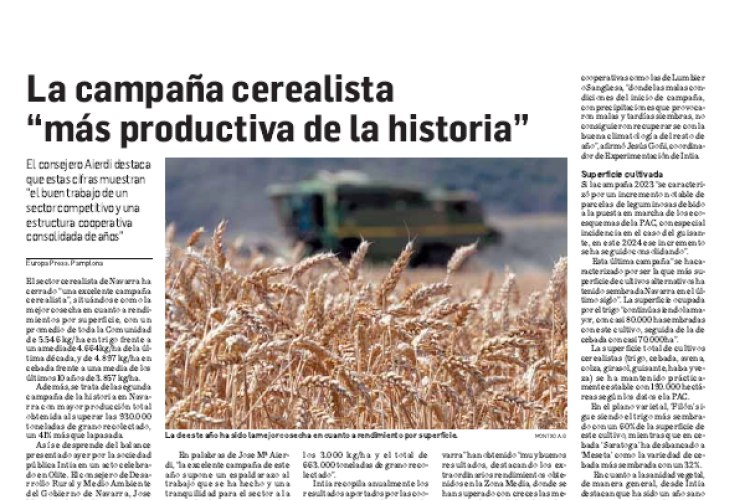 Fotografía del pantallazo de la noticia en la edición impresa del Diario de Navarra
