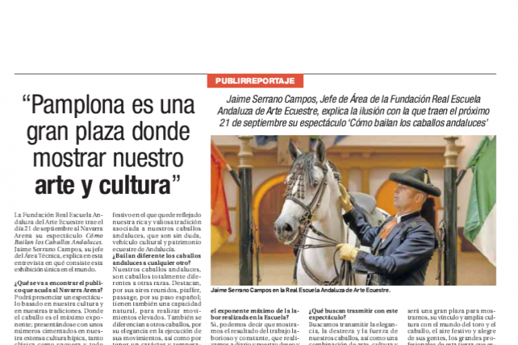 Fotografía del pantallazo de la noticia en la edición impresa de Diario de Navarra