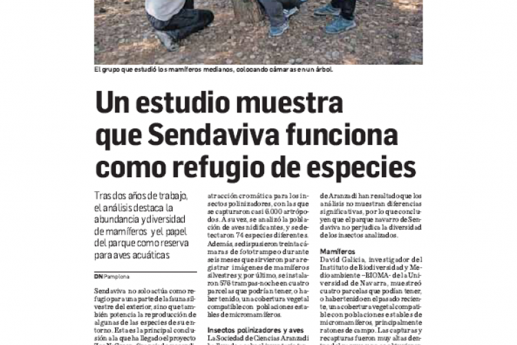 Fotografía del pantallazo de la noticia en la edición impresa de Diario de Navarra
