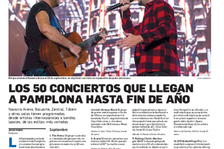 Fotografía del pantallazo de la noticia en la edición impresa del Diario de Navarra