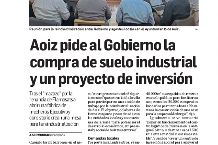 Fotografía del pantallazo de la noticia en la edición impresa de Diario de Navarra