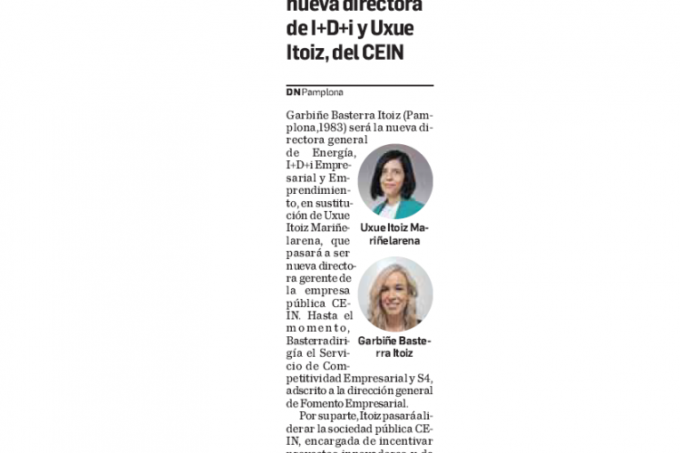 Fotografía del pantallazo de la noticia en la edición impresa de Diario de Navarra