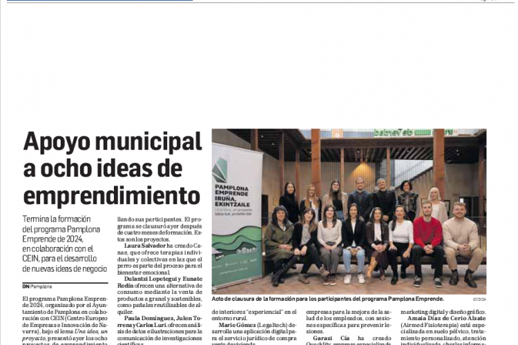 Fotografía del pantallazo de la noticia en la edición impresa de Diario de Navarra