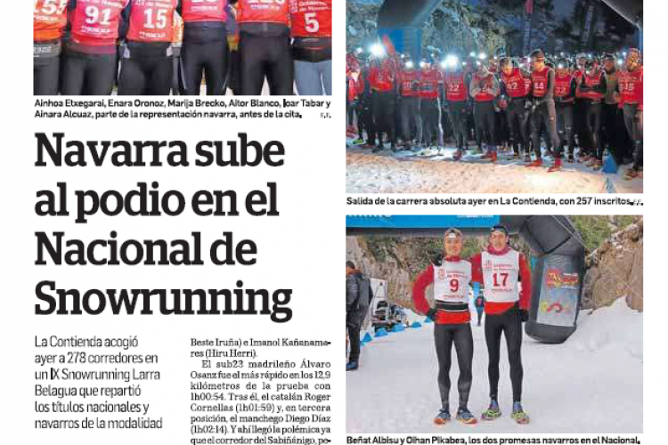 Fotografía del pantallazo de la noticia en la edición impresa de Diario de Navarra