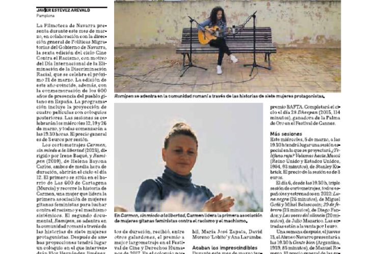 Fotografía del pantallazo de la noticia en la edición impresa del Diario de Navarra
