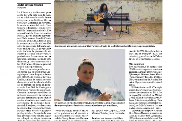 Fotografía del pantallazo de la noticia en la edición impresa del Diario de Navarra