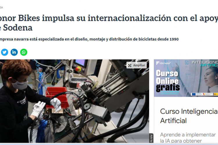 Fotografía del pantallazo de la noticia en la edición online del Diario de Navarra