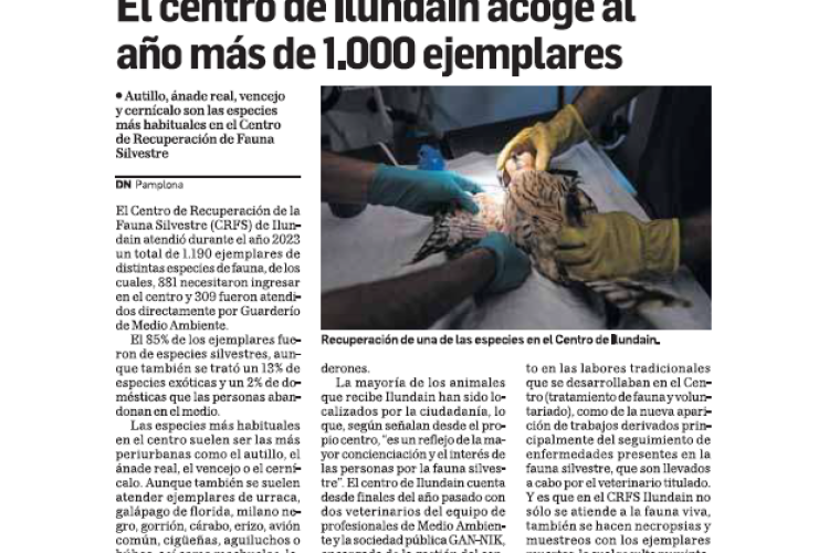 Fotografía del pantallazo de la noticia en la edición impresa de Diario de Navarra