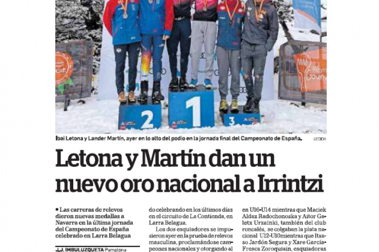 Fotografía del pantallazo de la noticia en la edición impresa de Diario de Navarra