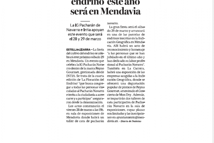 Fotografía del pantallazo de la noticia en la edición impresa del Diario de Noticias 