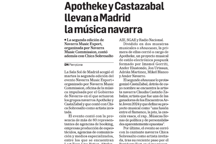 Fotografía del pantallazo de la noticia en la edición impresa del Diario de Navarra
