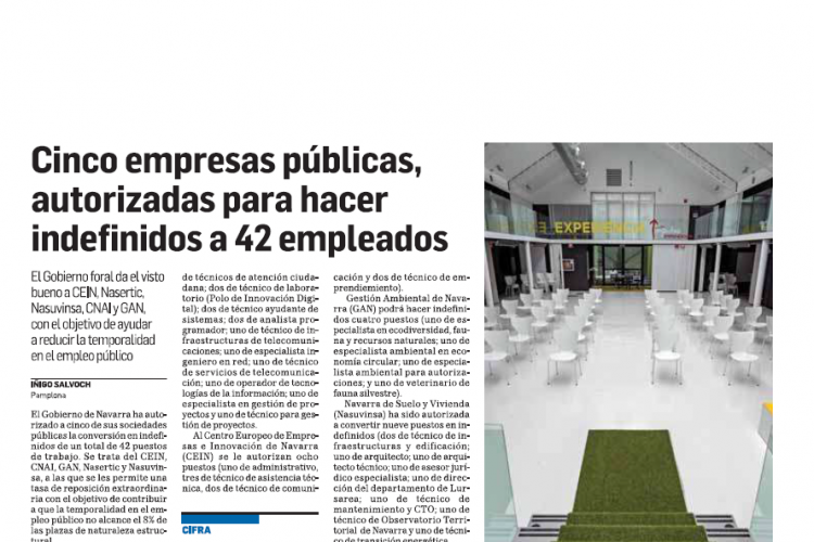 Fotografía del pantallazo de la noticia en la edición impresa del Diario de Navarra