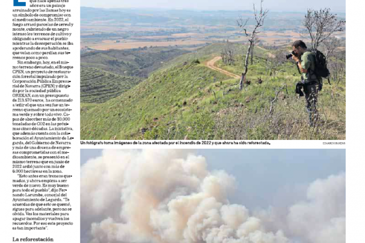 Fotografía del pantallazo de la noticia en la edición impresa del Diario de Navarra