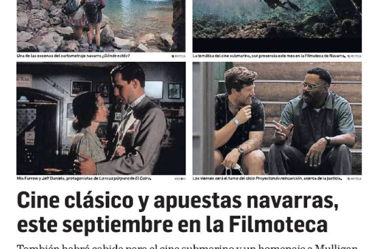 Fotografía del pantallazo de la noticia en la edición impresa del Diario de Navarra